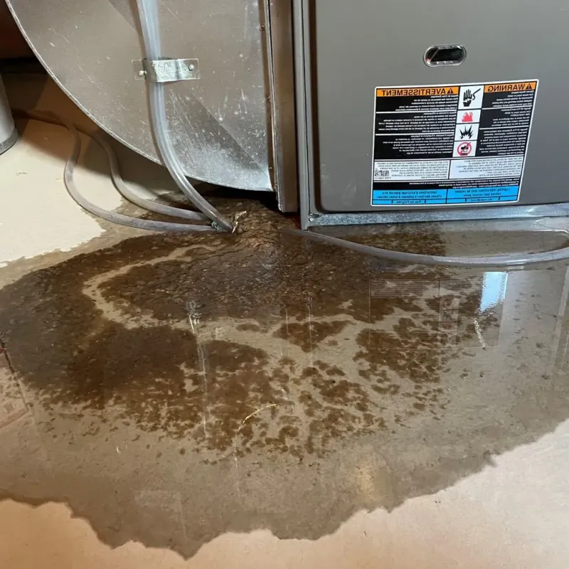 Pipe Burst and Leak Restoration in Fleming County, KY